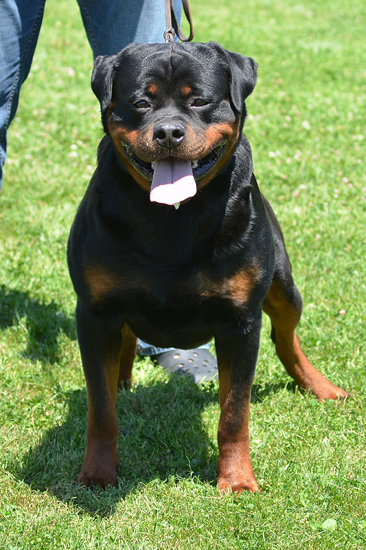 Yumbo von der Alten Festung Yumbo von der Alten Festung